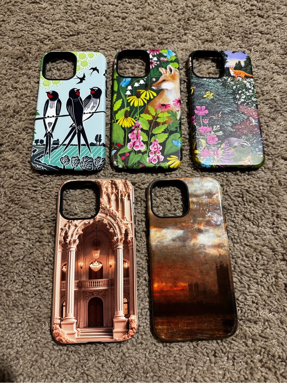 Set of 5 iPhone 13 Pro Max Cases by stringberry